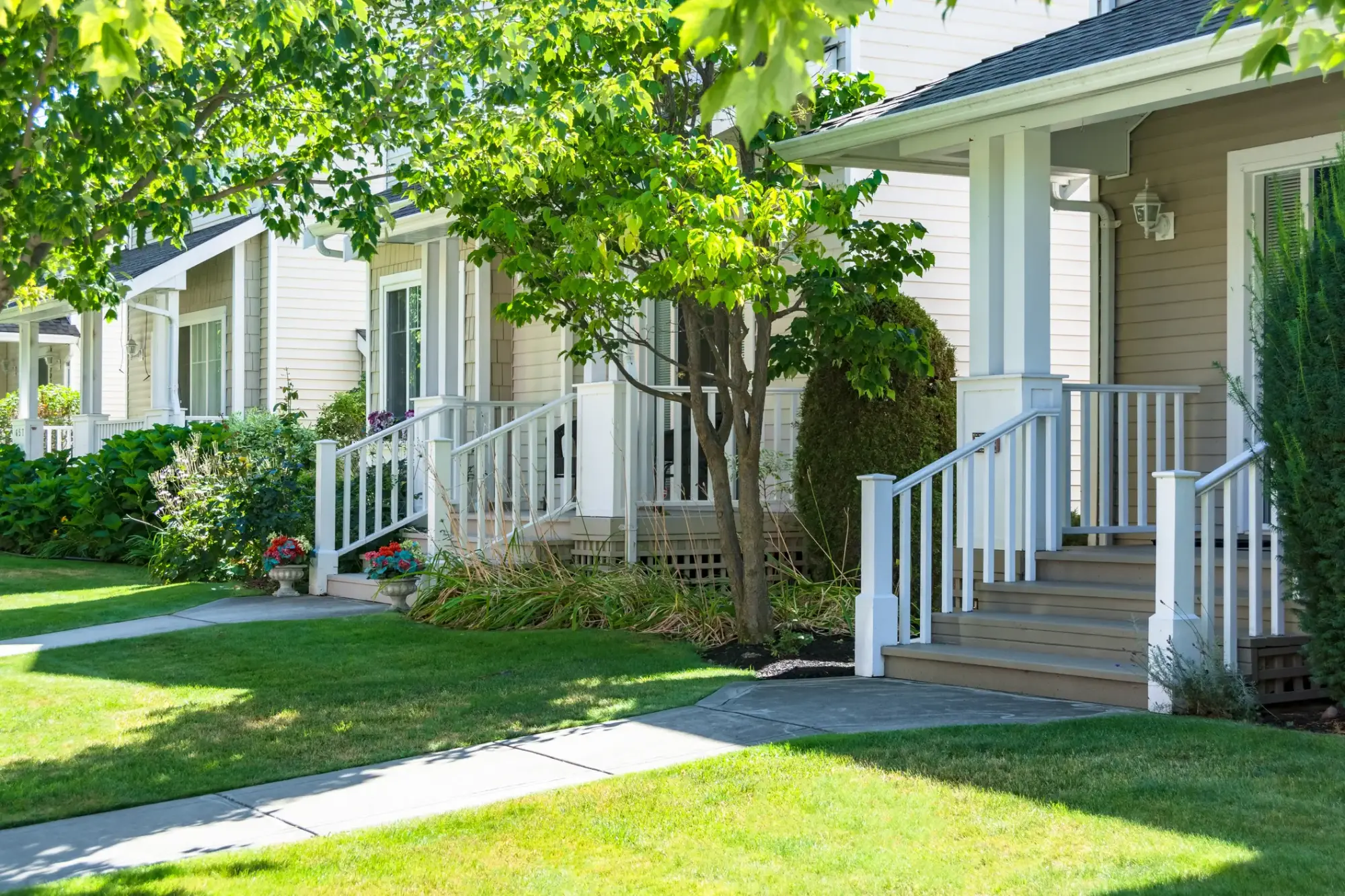 Tree-lined homes and welcoming front porches